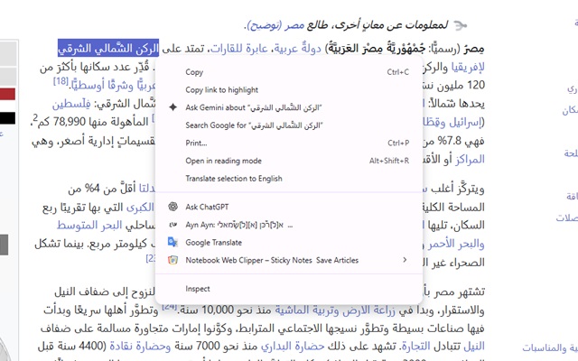 AynAyn context-menu command for selected Arabic text on a webpage
